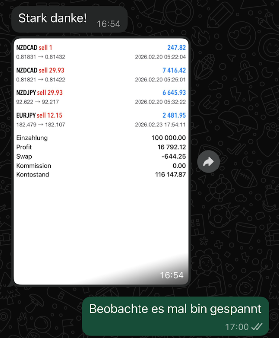 WhatsApp Screenshot – Kontostand & Profit
